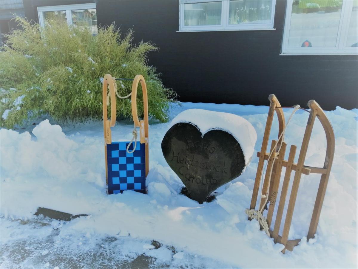Bergchalet Heidestock Willingen  Eksteriør billede