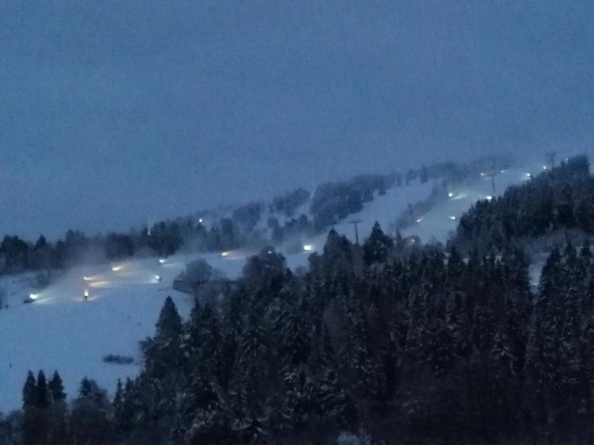 Bergchalet Heidestock Willingen  Eksteriør billede