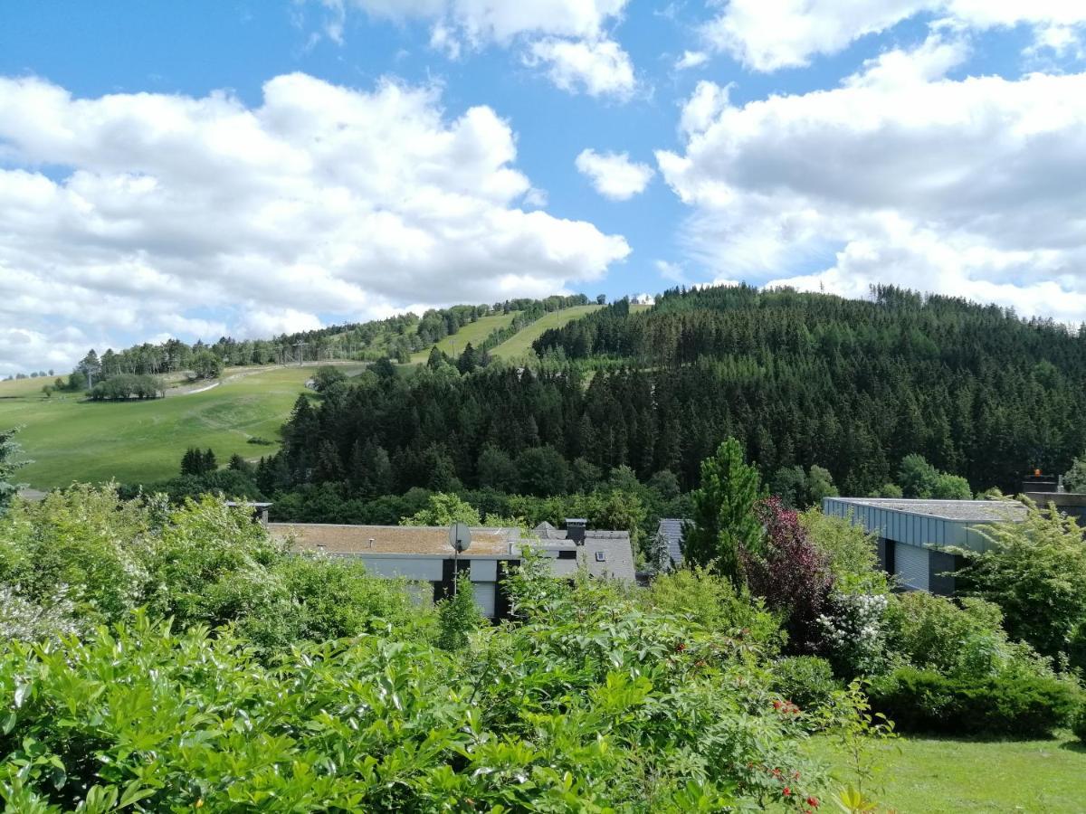 Bergchalet Heidestock Willingen  Eksteriør billede