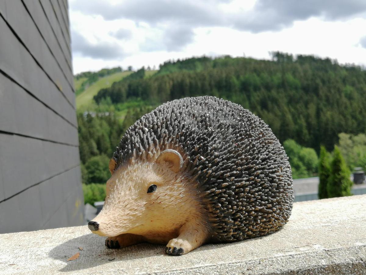 Bergchalet Heidestock Willingen  Eksteriør billede