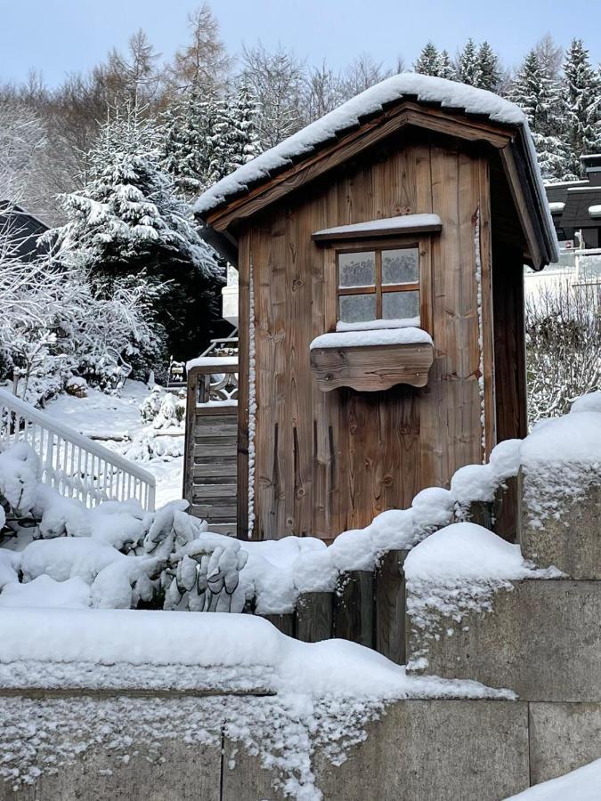 Bergchalet Heidestock Willingen  Eksteriør billede