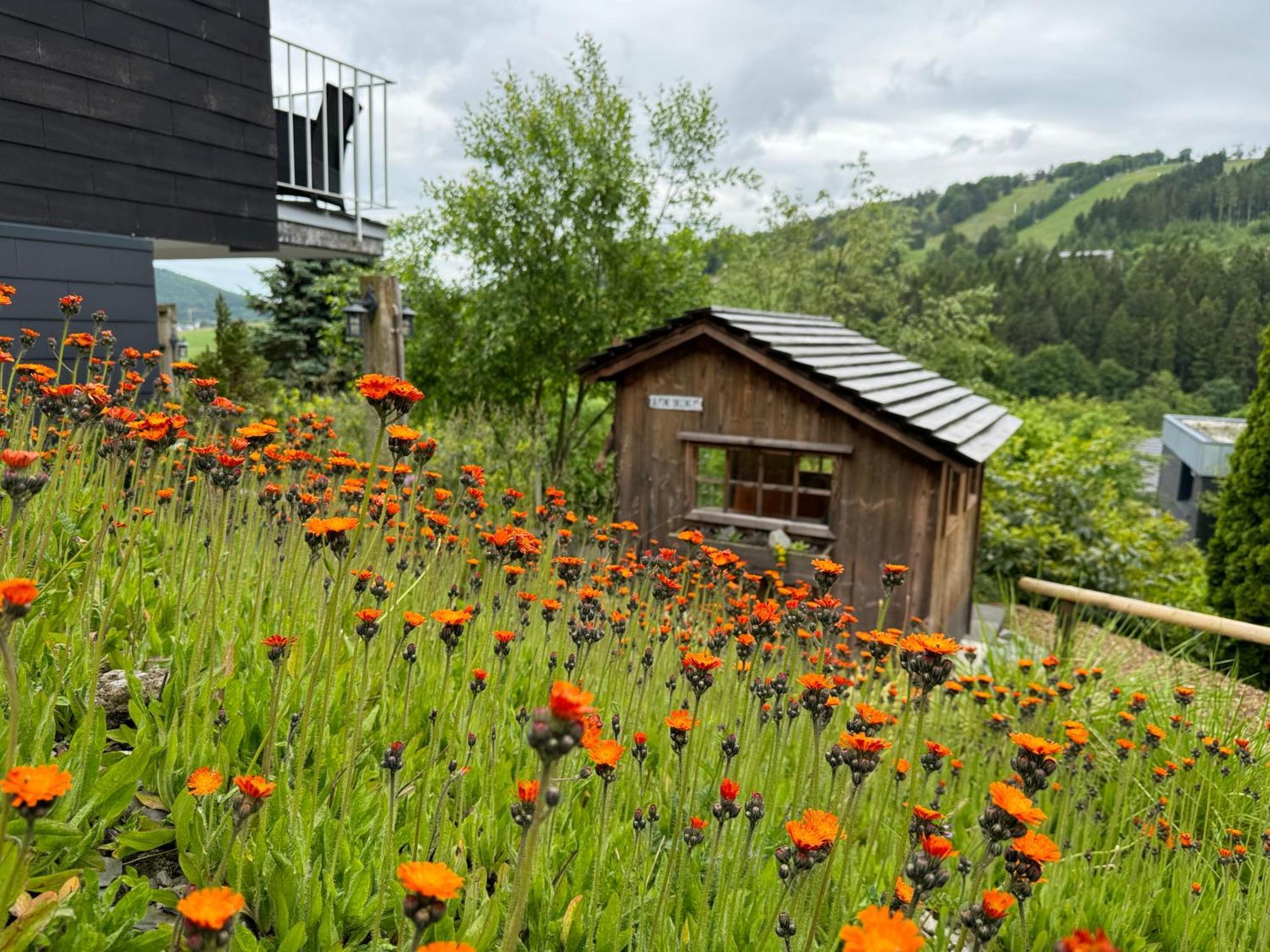 Bergchalet Heidestock Willingen  Eksteriør billede